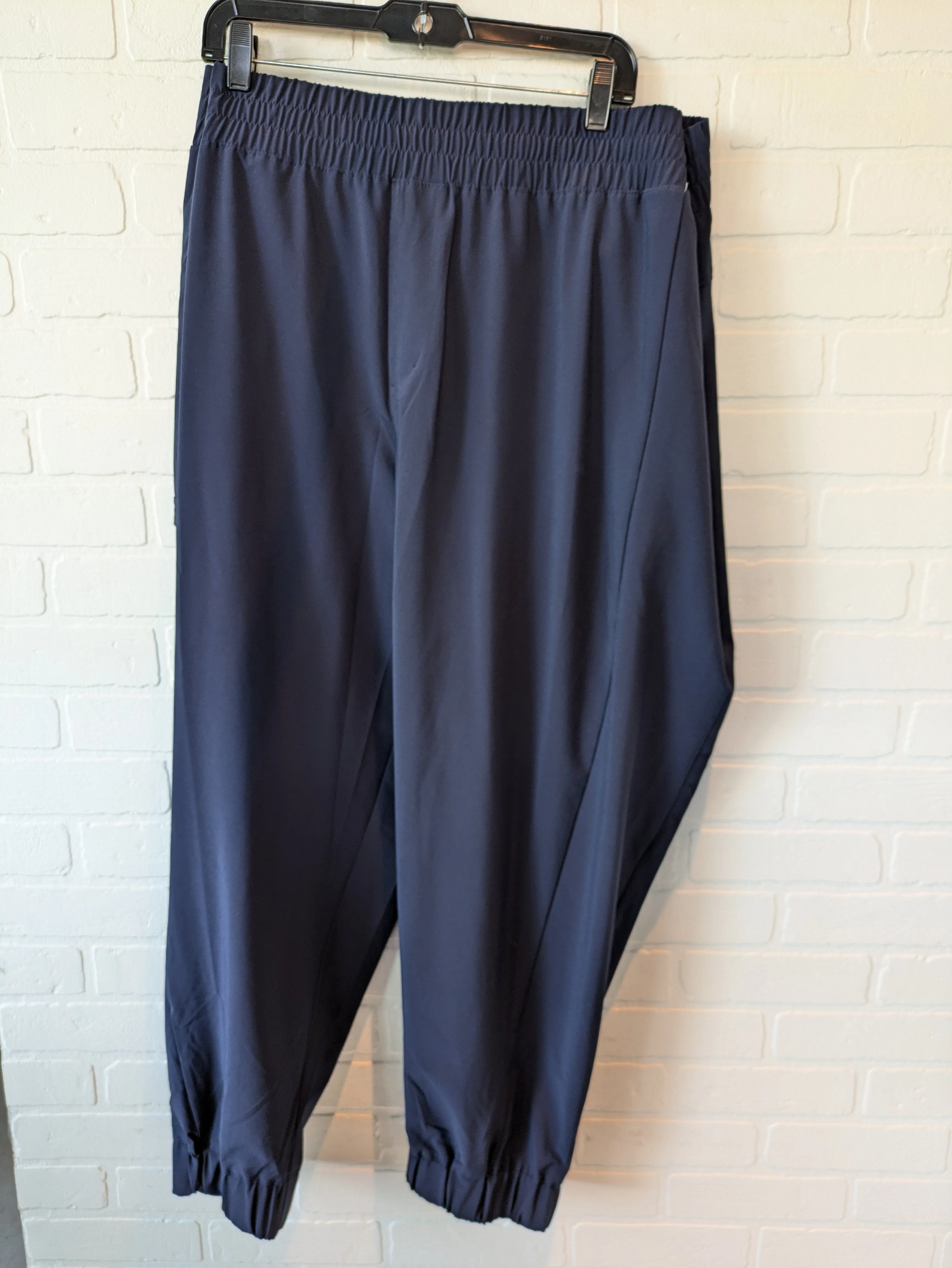 Athletic Pants By Columbia In Blue, Size: 22