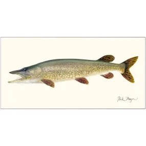 Northern Pike Metal Print