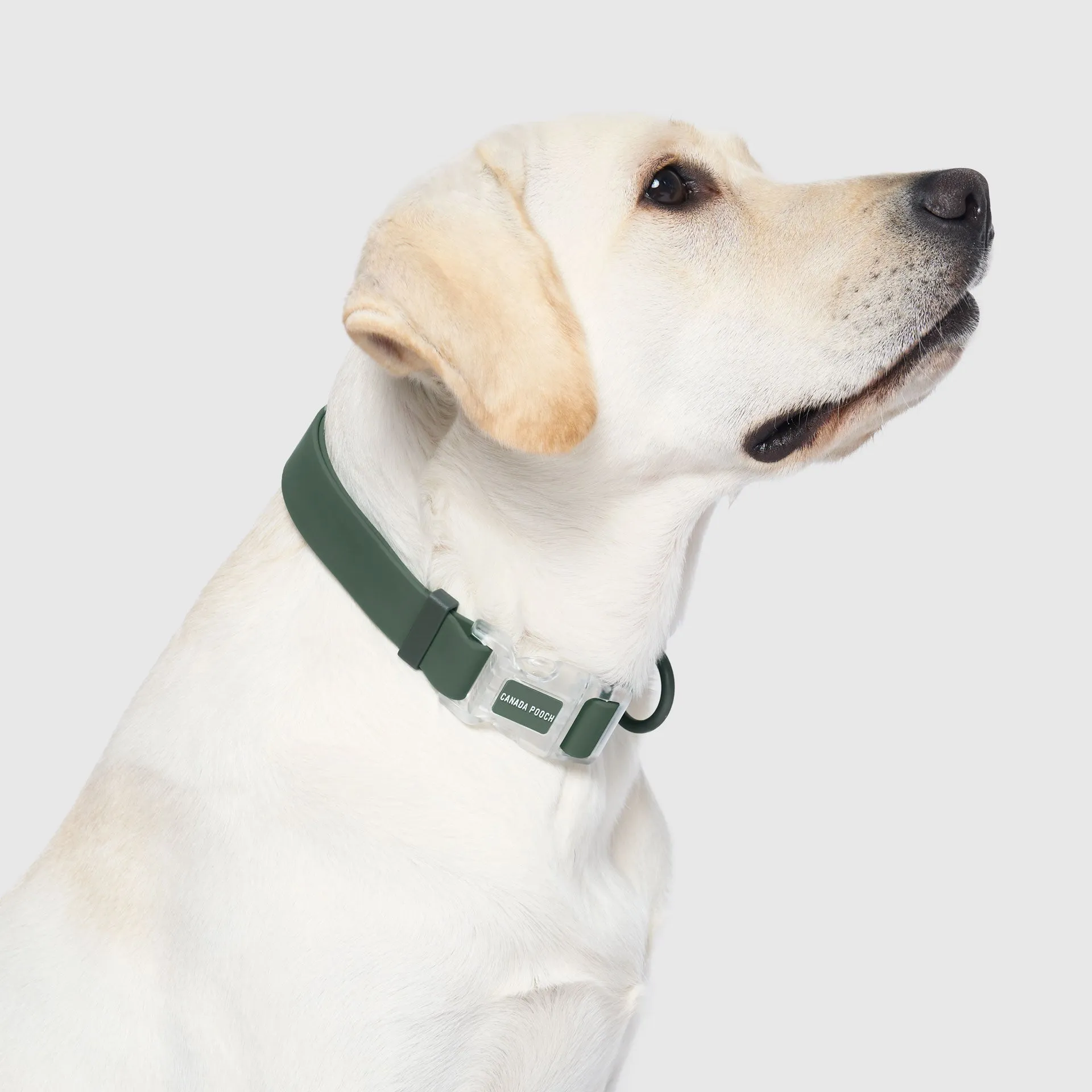 Waterproof Collar