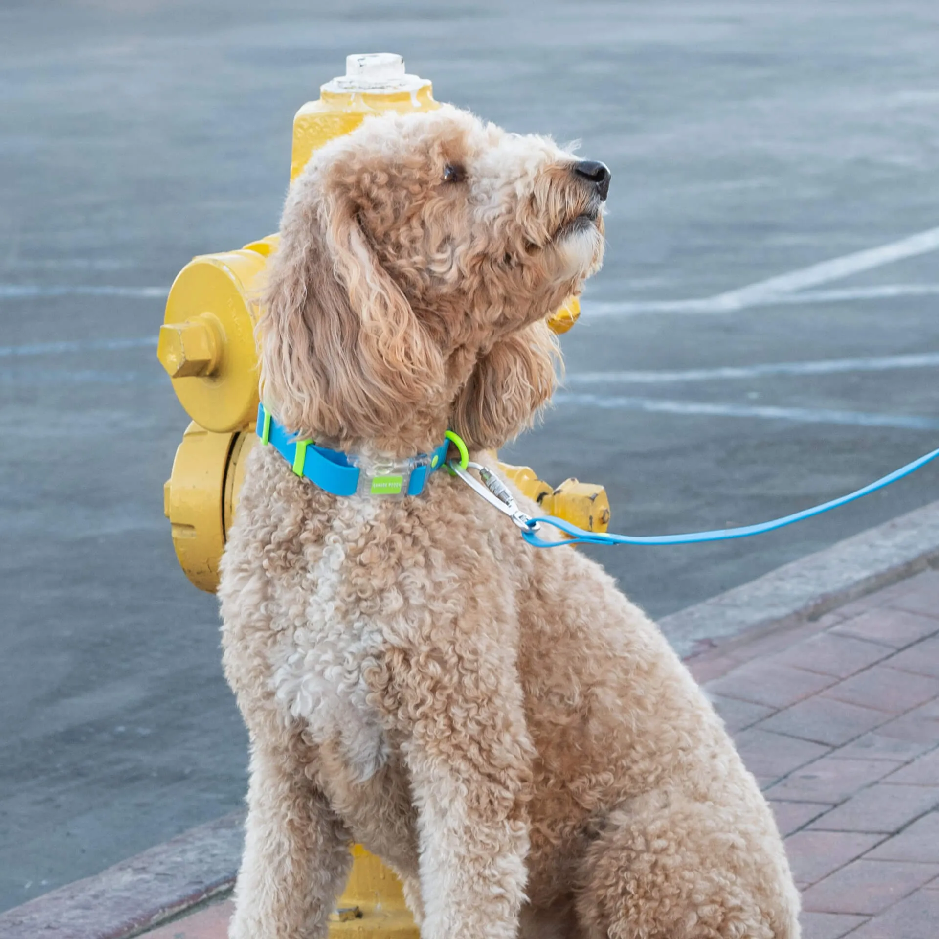 Waterproof Collar