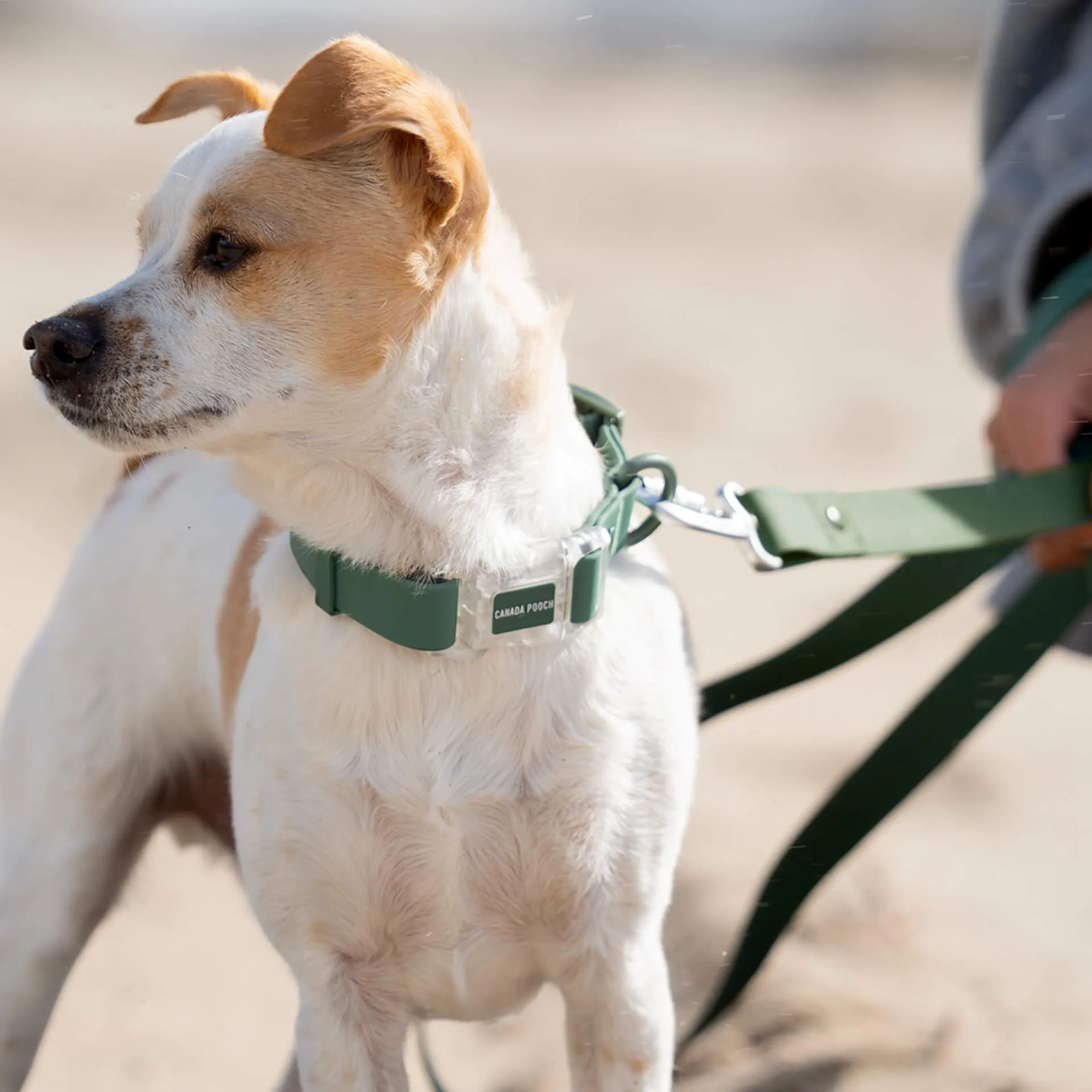 Waterproof Collar