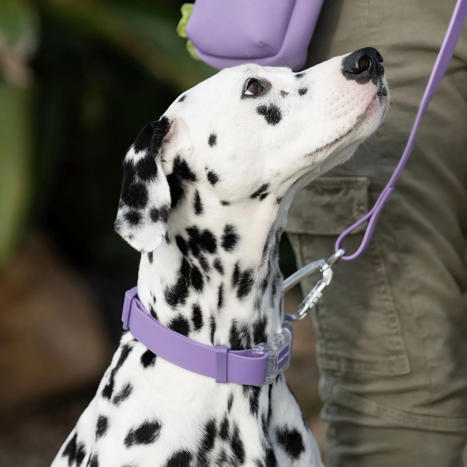 Waterproof Collar