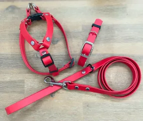 Waterproof Dog Harness Set: Adjustable Biothane Harness, Collar, and Leash Combo for Active Pups